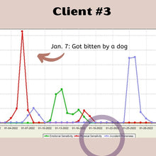 Load image into Gallery viewer, Your Personal Best Dates For...: a 2-Month Astrology Planner
