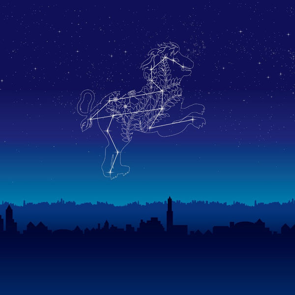 Leo Season:  7 Things to Try