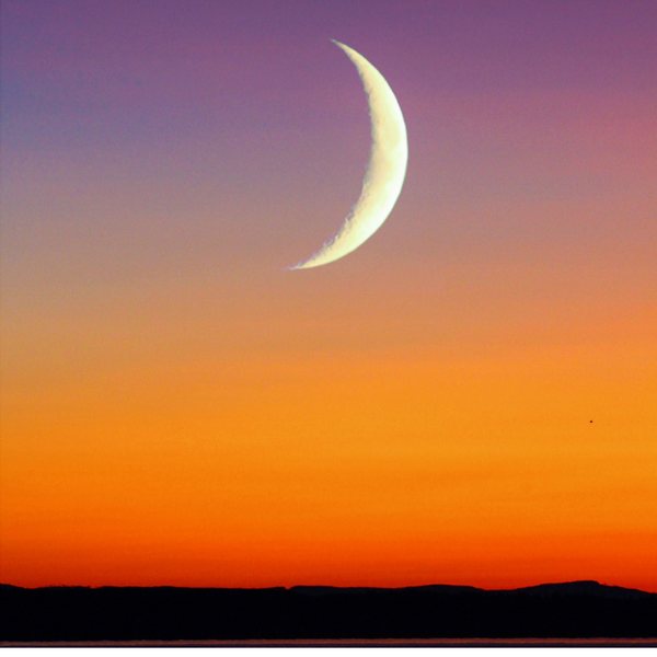 What Does Manifesting with the Moon, IT and Project Management Have in Common?