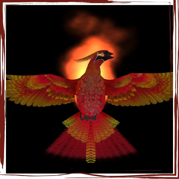 Pluto Turns Direct: Transformation and Personal Power